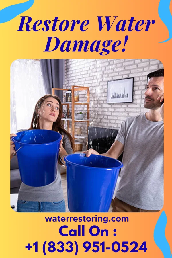 water restoration Rapid Cleanup Professionals Oran