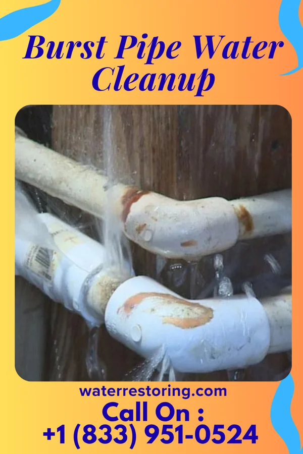 Burst Pipe Water Cleanup in Oran, MO