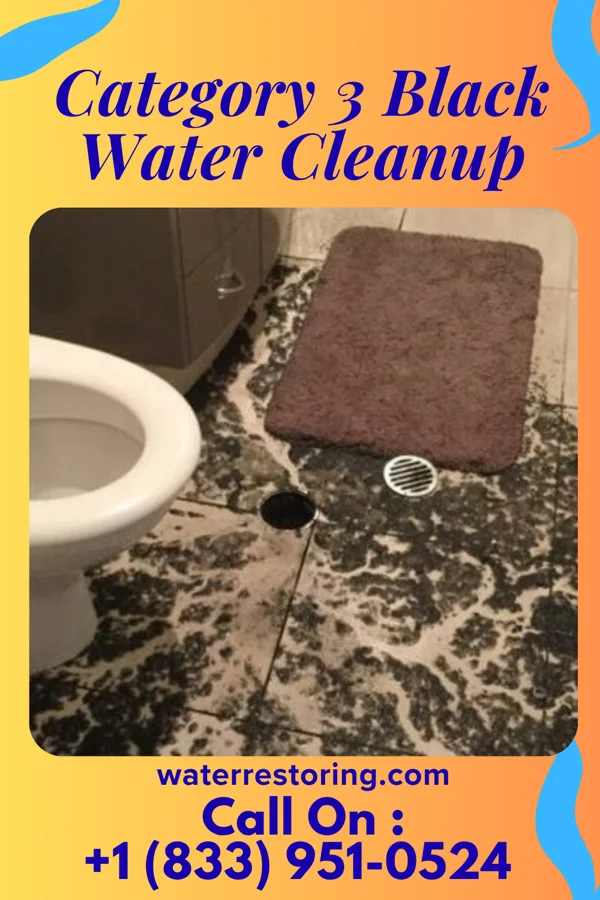 Category 3 Black Water Cleanup in Oran, MO