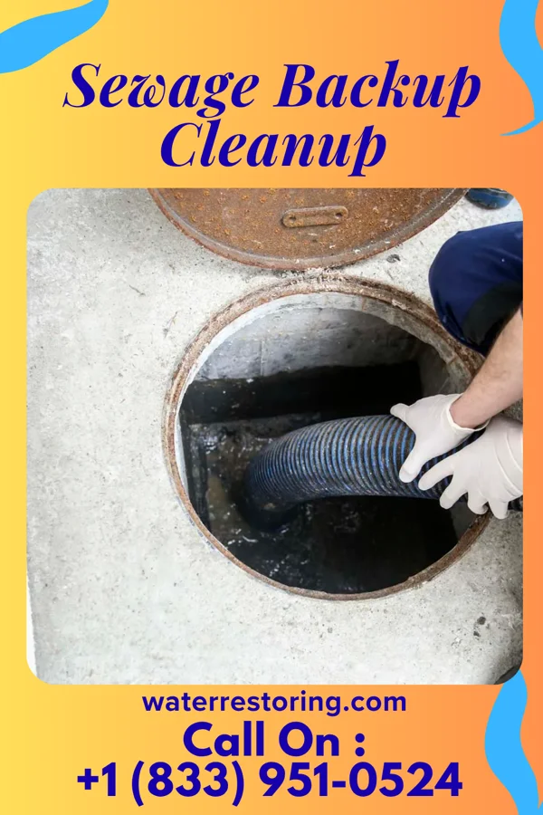Sewage Backup Cleanup in Oran, MO