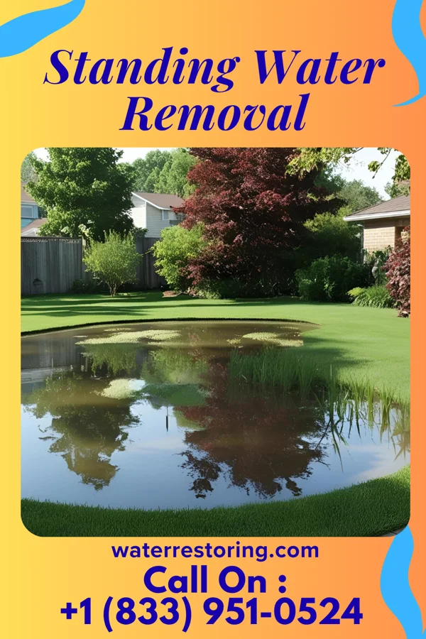 Standing Water Removal in Oran, MO